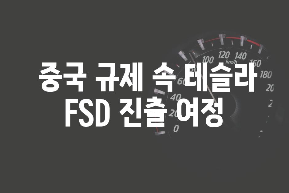  중국 규제 속 테슬라 FSD 진출 여정