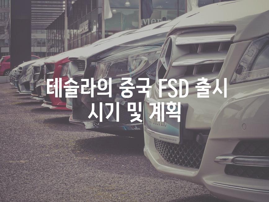  테슬라의 중국 FSD 출시 시기 및 계획