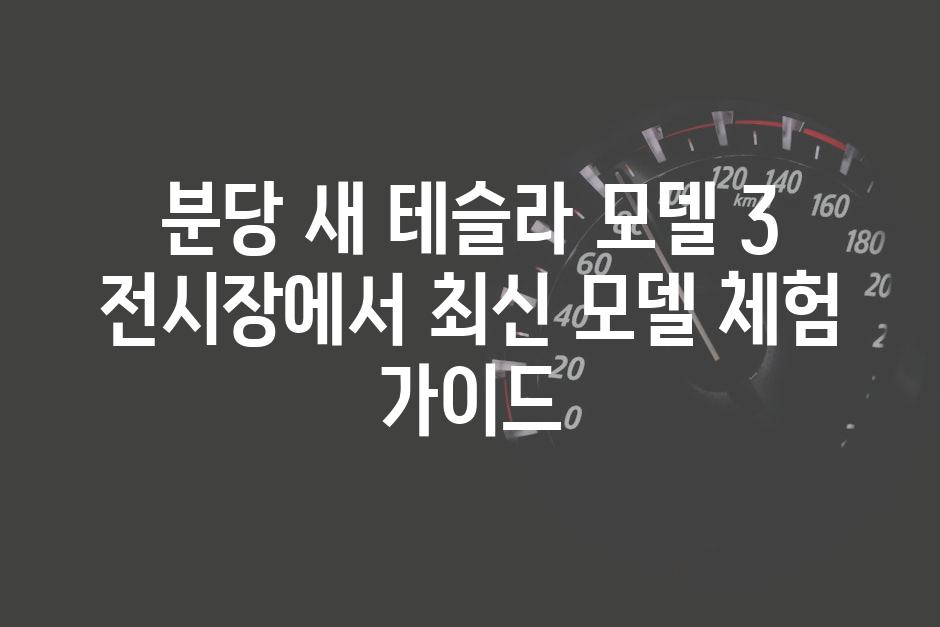 이미지_설명