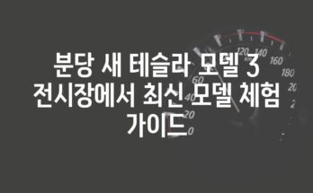 분당 새 테슬라 모델 3 전시장에서 최신 모델 체험 가이드