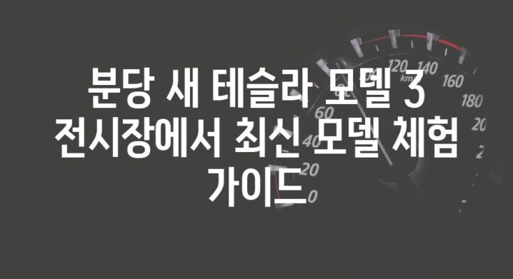 분당 새 테슬라 모델 3 전시장에서 최신 모델 체험 가이드