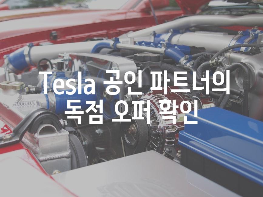  Tesla 공인 파트너의 독점 오퍼 확인