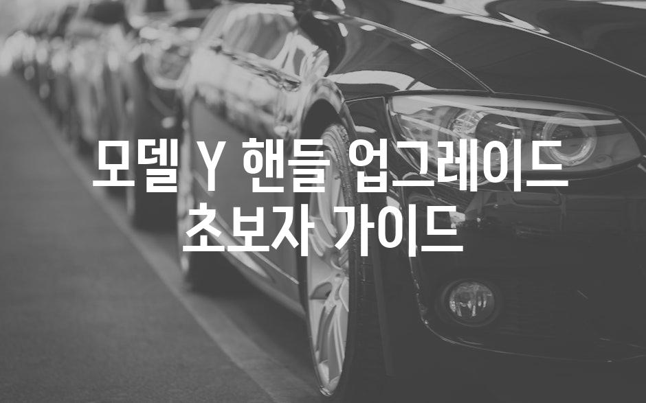  모델 Y 핸들 업그레이드 초보자 가이드