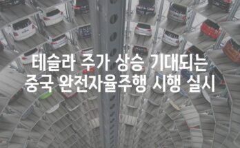 테슬라 주가 상승 기대되는 중국 완전자율주행 시행 실시