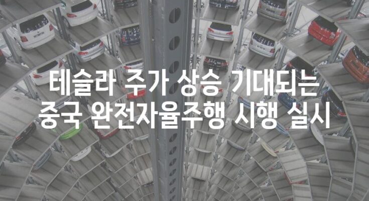 테슬라 주가 상승 기대되는 중국 완전자율주행 시행 실시