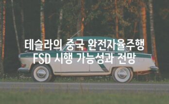 테슬라의 중국 완전자율주행 FSD 시행 가능성과 전망