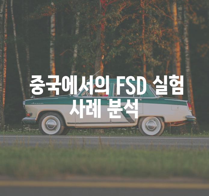  중국에서의 FSD 실험 사례 분석