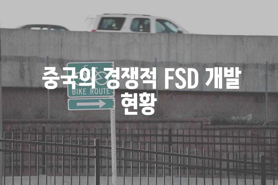  중국의 경쟁적 FSD 개발 현황