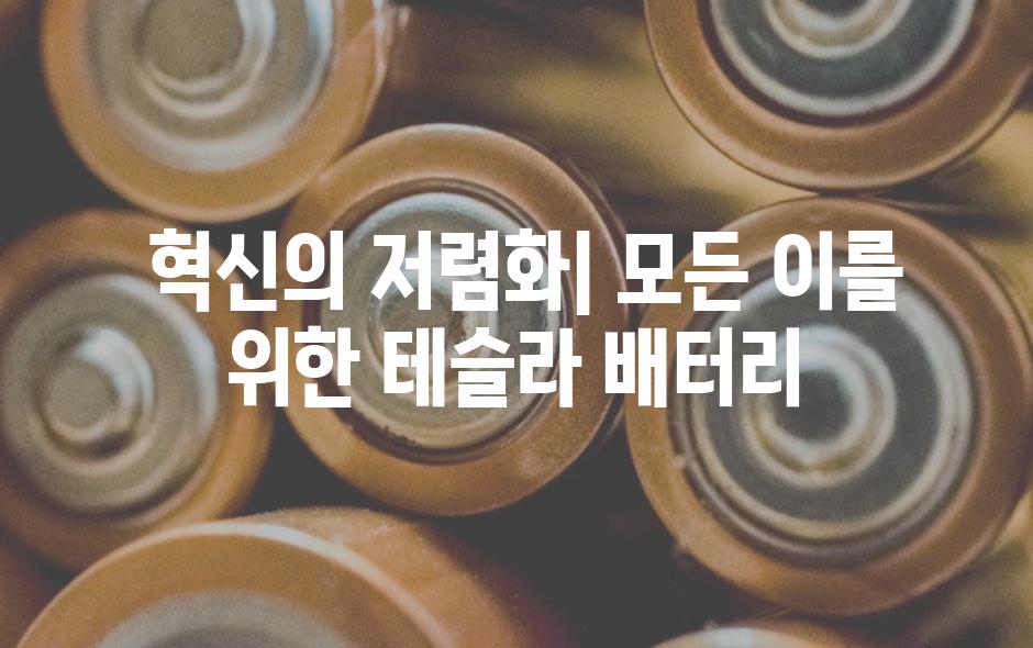  혁신의 저렴화| 모든 이를 위한 테슬라 배터리