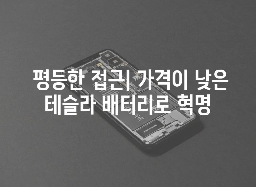 평등한 접근| 저렴한 테슬라 배터리로의 혁명