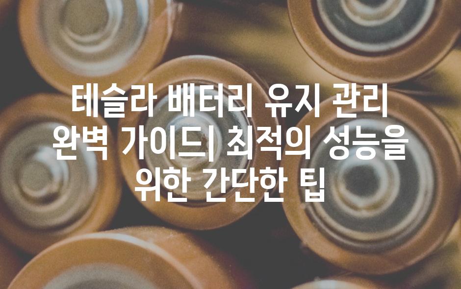 이미지_설명