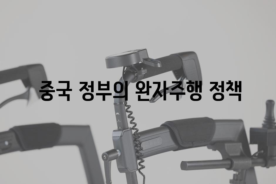  중국 정부의 완자주행 정책