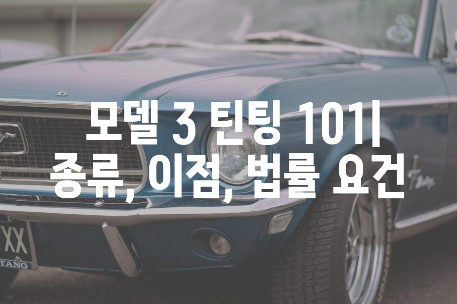  모델 3 틴팅 101| 종류, 이점, 법률 요건