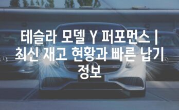 테슬라 모델 Y 퍼포먼스 | 최신 재고 현황과 빠른 납기 정보