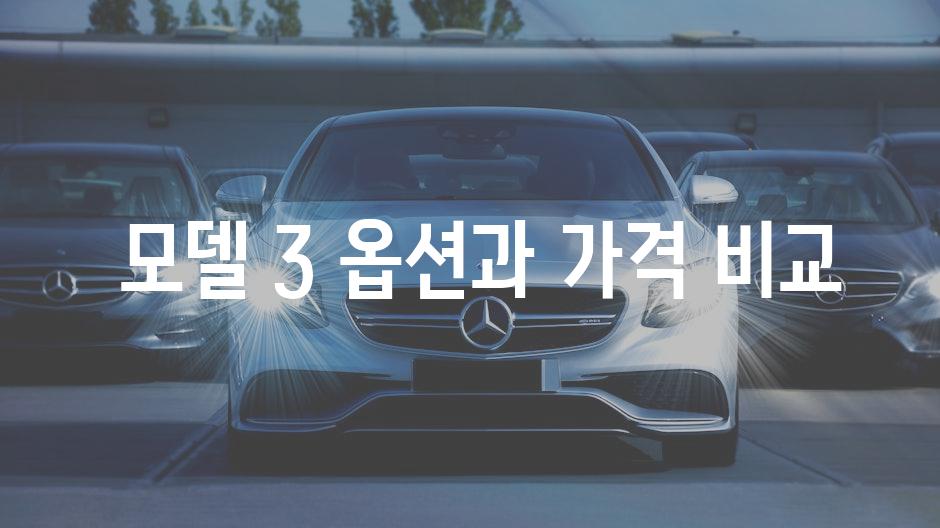  모델 3 옵션과 가격 비교