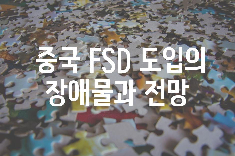  중국 FSD 도입의 장애물과 전망