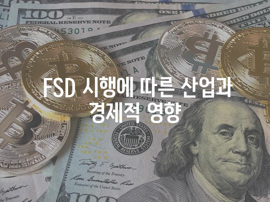  FSD 시행에 따른 산업과 경제적 영향