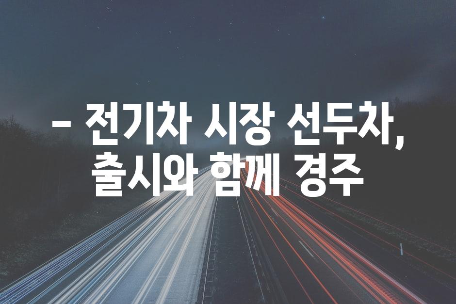 - 전기차 시장 선두차, 출시와 함께 경주