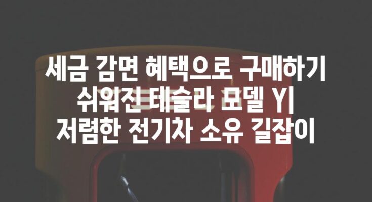 세금 감면 혜택으로 구매하기 쉬워진 테슬라 모델 Y| 저렴한 전기차 소유 길잡이