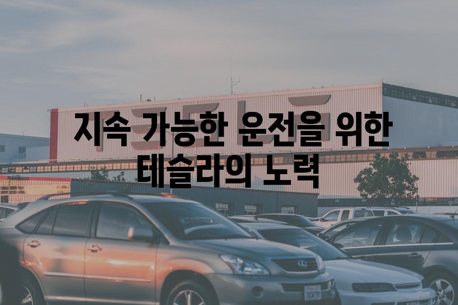  지속 가능한 운전을 위한 테슬라의 노력