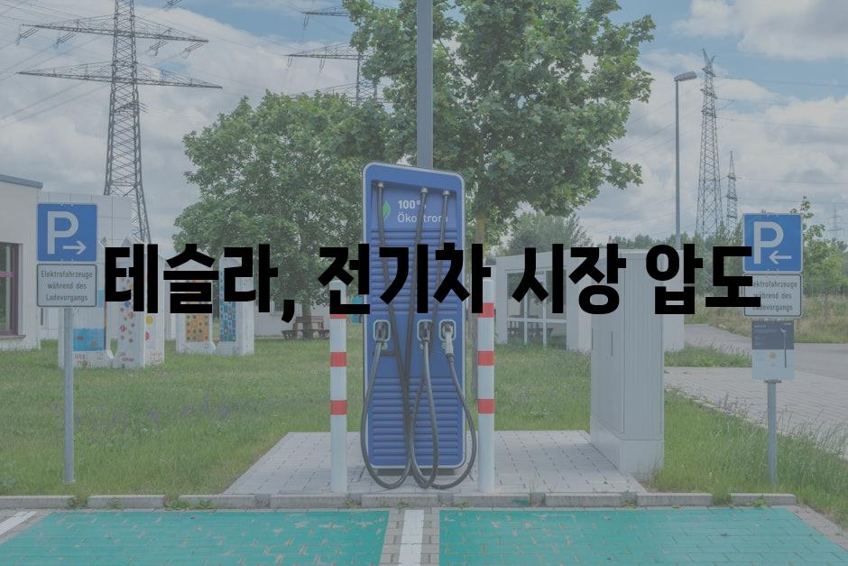  테슬라, 전기차 시장 압도