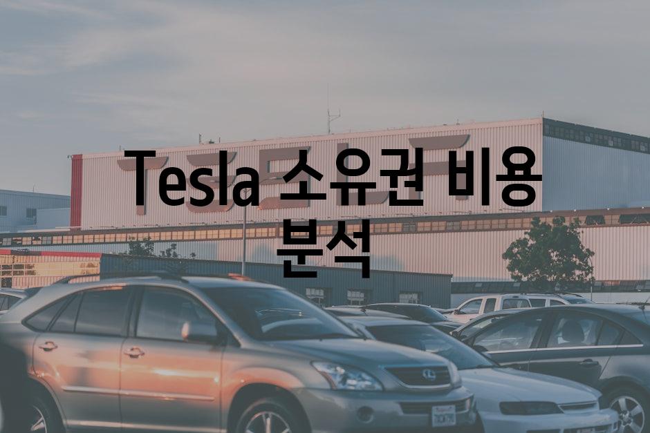  Tesla 소유권 비용 분석