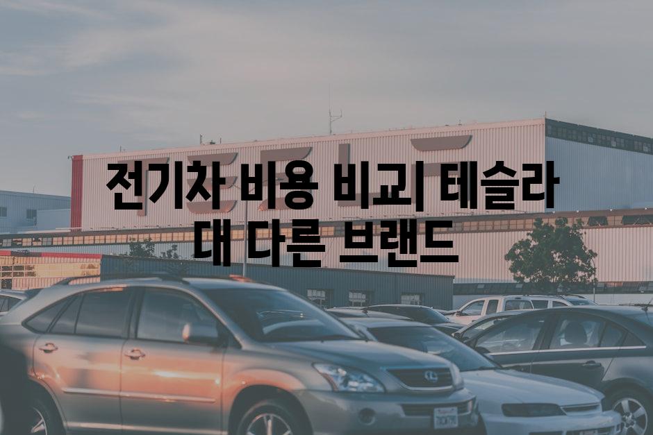  전기차 비용 비교| 테슬라 대 다른 브랜드