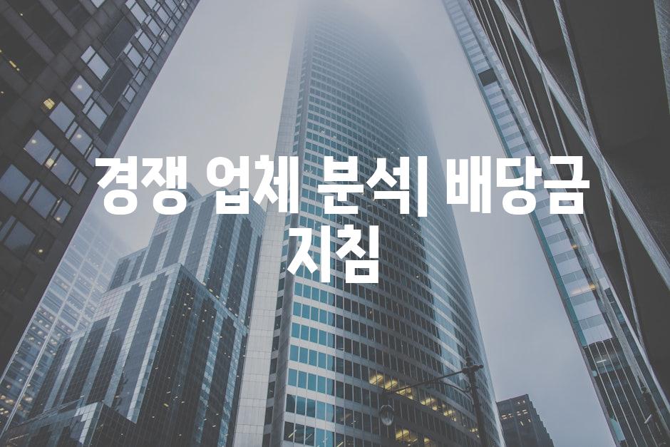  경쟁 업체 분석| 배당금 지침