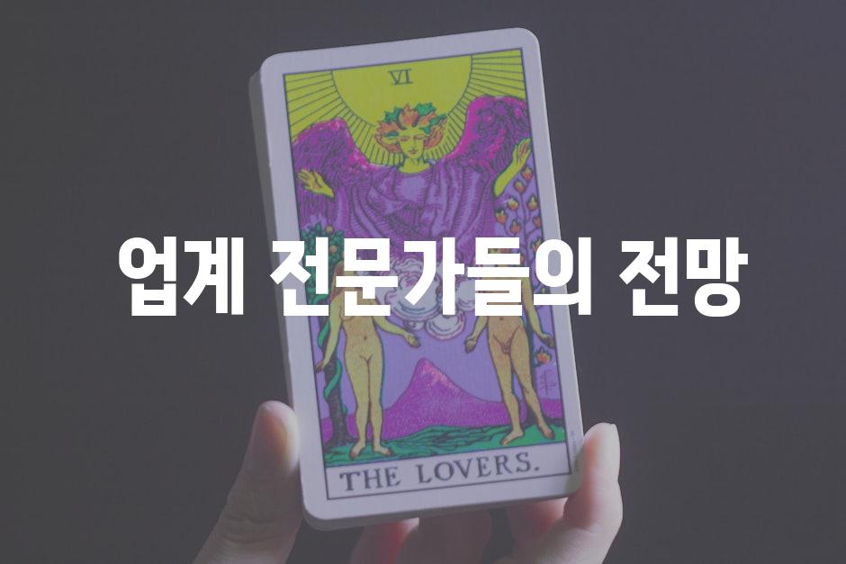  업계 전문가들의 전망