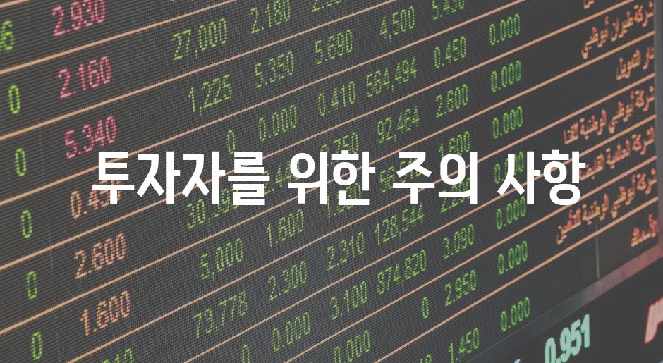  투자자를 위한 주의 사항