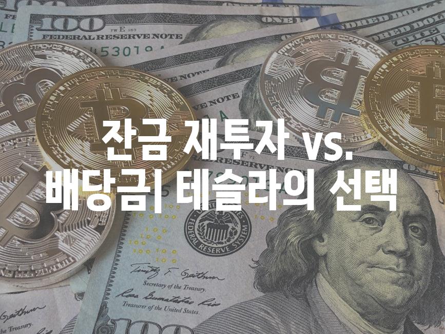  잔금 재투자 vs. 배당금| 테슬라의 선택