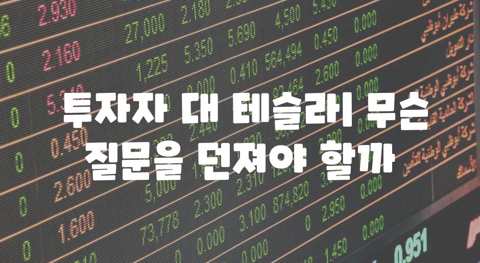  투자자 대 테슬라| 무슨 질문을 던져야 할까