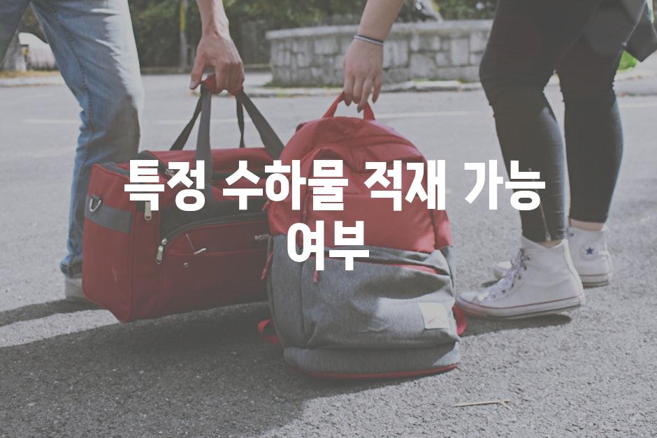  특정 수하물 적재 가능 여부