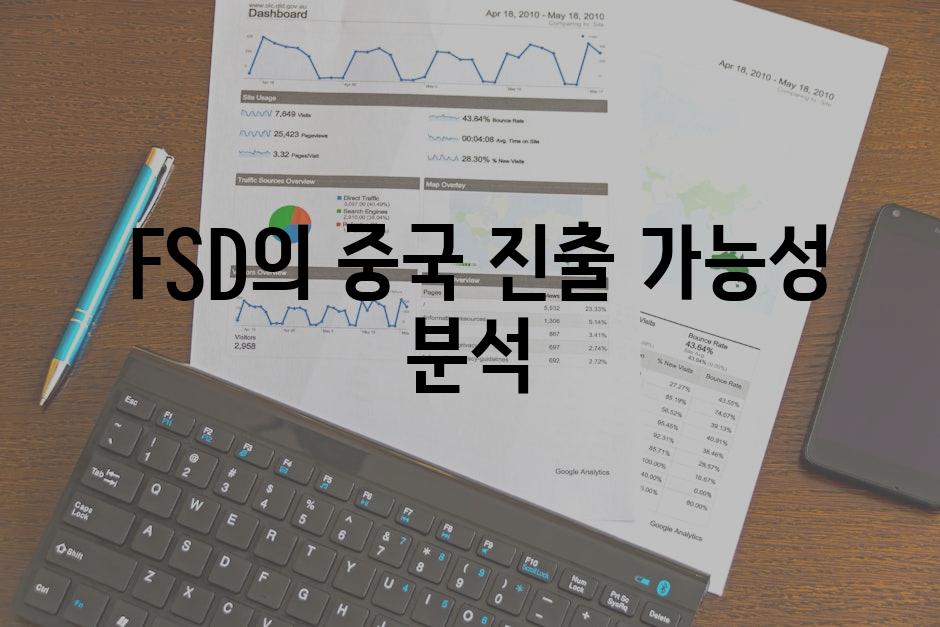  FSD의 중국 진출 가능성 분석