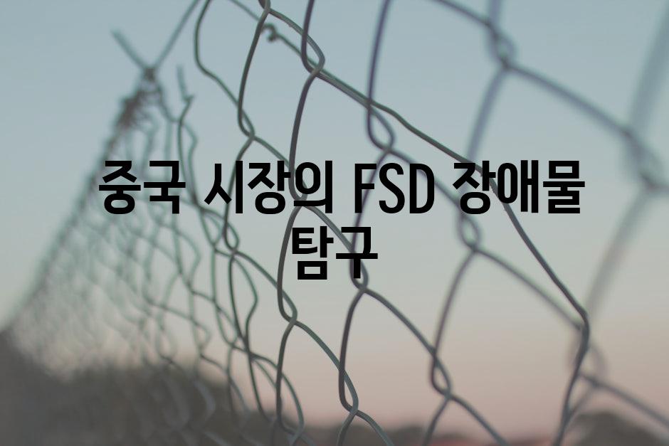  중국 시장의 FSD 장애물 탐구