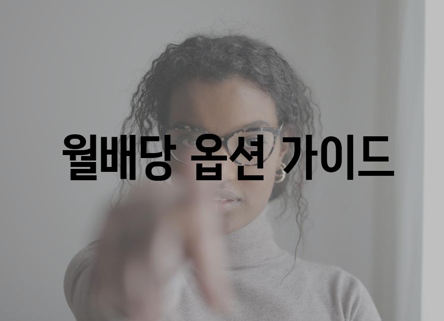  월배당 옵션 가이드