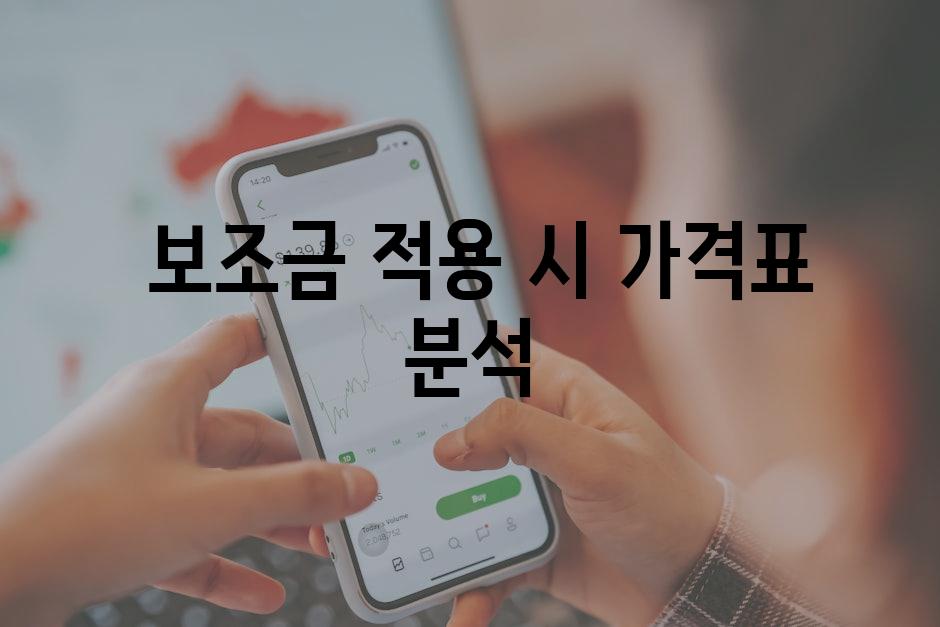  보조금 적용 시 가격표 분석