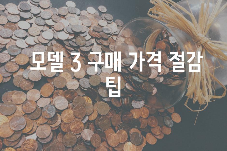  모델 3 구매 가격 절감 팁