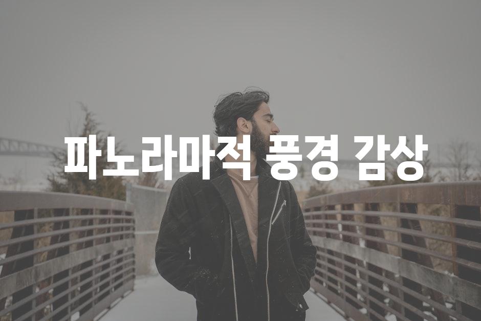  파노라마적 풍경 감상