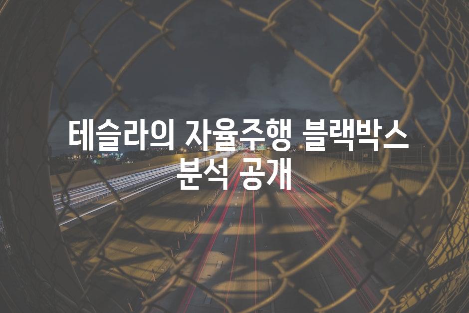  테슬라의 자율주행 블랙박스 분석 공개