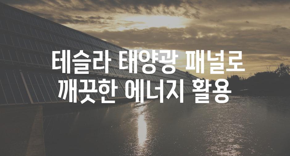  테슬라 태양광 패널로 깨끗한 에너지 활용