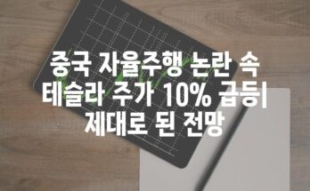 중국 자율주행 논란 속 테슬라 주가 10% 급등| 제대로 된 전망