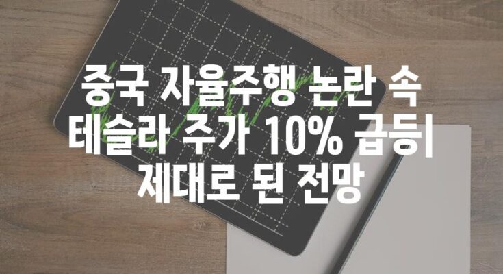 중국 자율주행 논란 속 테슬라 주가 10% 급등| 제대로 된 전망