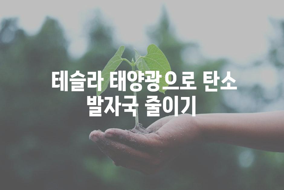 테슬라 태양광으로 탄소 발자국 줄이기