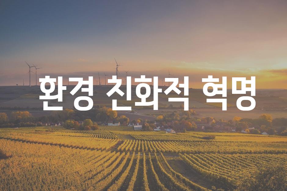  실용적인 지속 가능성