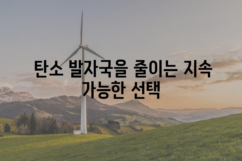  탄소 발자국을 줄이는 지속 가능한 선택