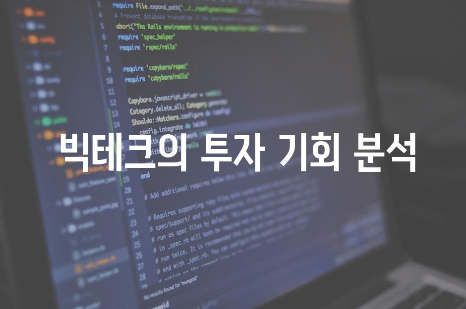  빅테크의 투자 기회 분석