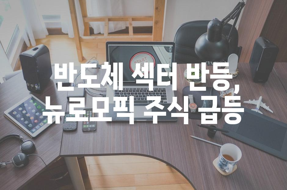  반도체 섹터 반등, 뉴로모픽 주식 급등