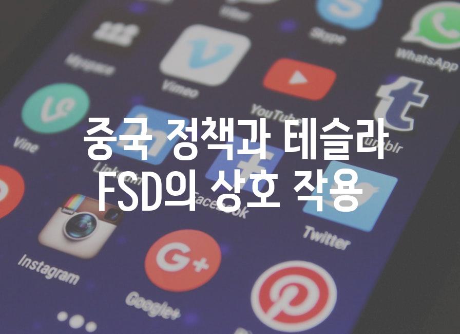  중국 정책과 테슬라 FSD의 상호 작용