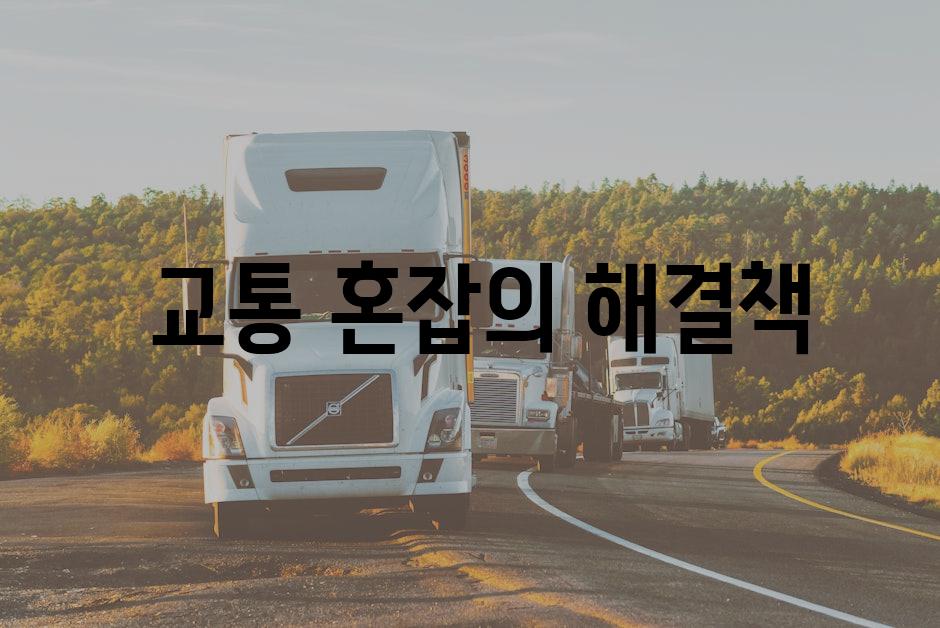  교통 혼잡의 해결책